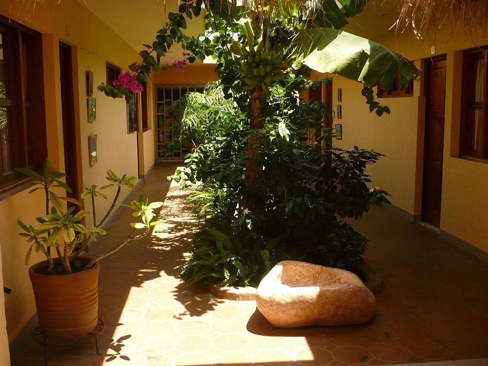 Art Hotel Managua Extérieur photo